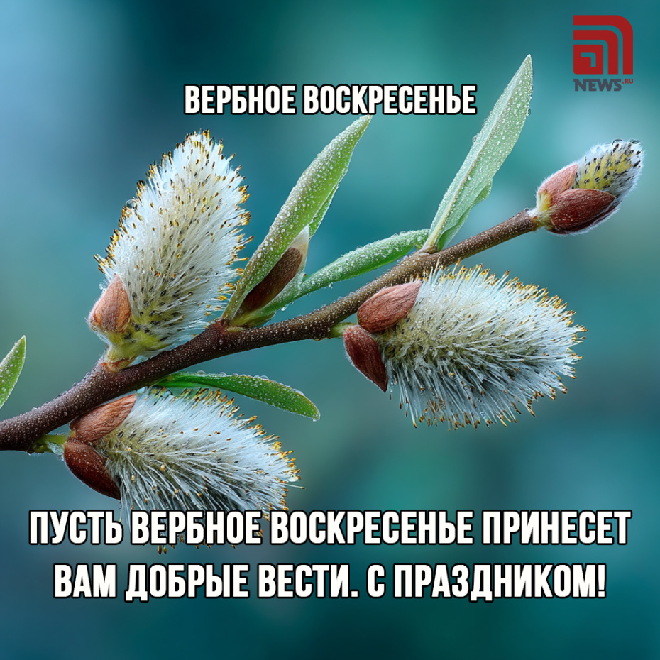 Красивые открытки на Вербное воскресенье