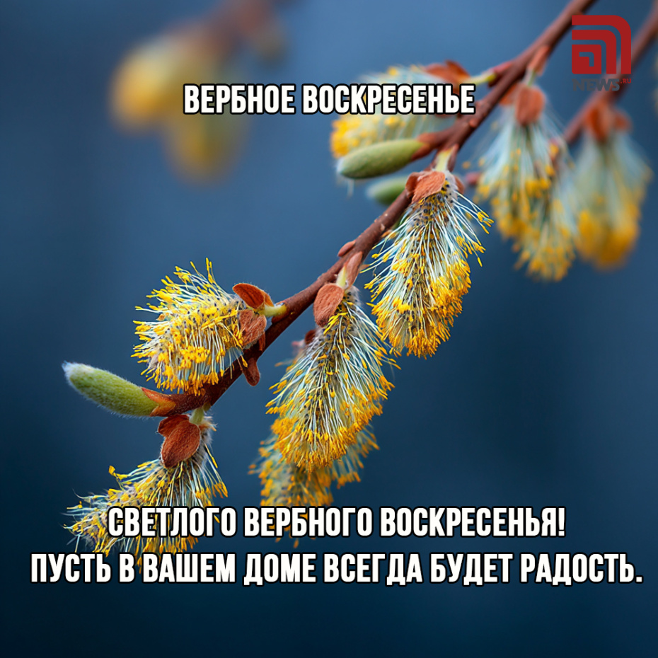 Открытки на Вербное воскресенье: скачать бесплатно