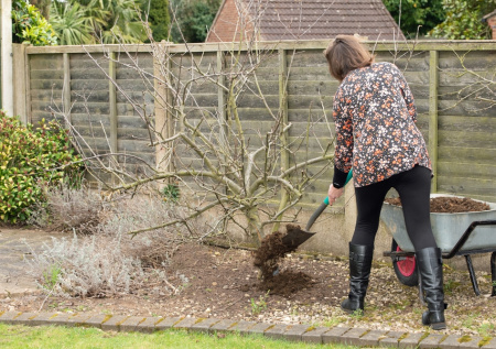 Работы в саду в апреле: что нужно обязательно посеять прямо сейчас