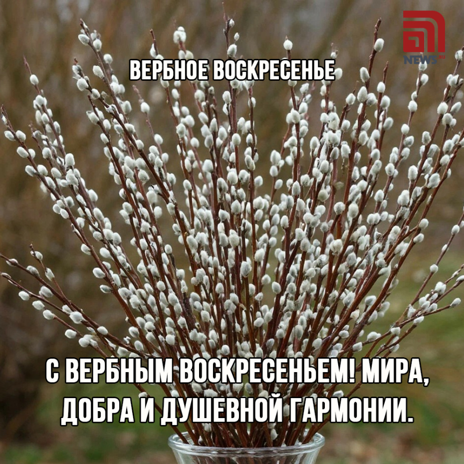 Красивые картинки в Вербное воскресенье