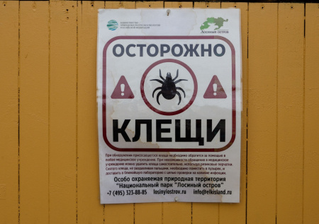 Роспотребнадзор сообщил о росте числа укусов клещей