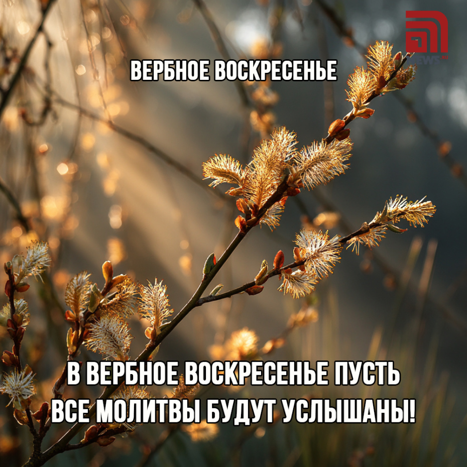 Скачать открытки на Вербное воскресенье