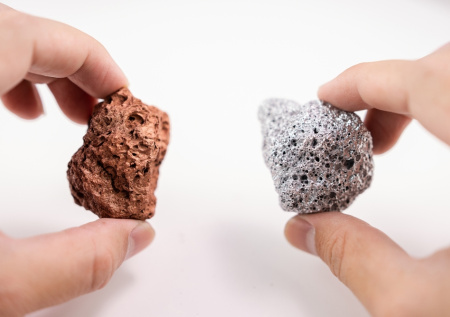 Психолог оценила безопасность камней-питомцев для детей