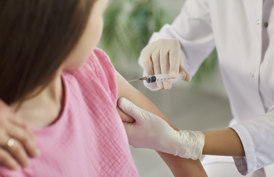 Вакцинация от клещевого энцефалита: когда делать, сколько стоит, можно ли сейчас