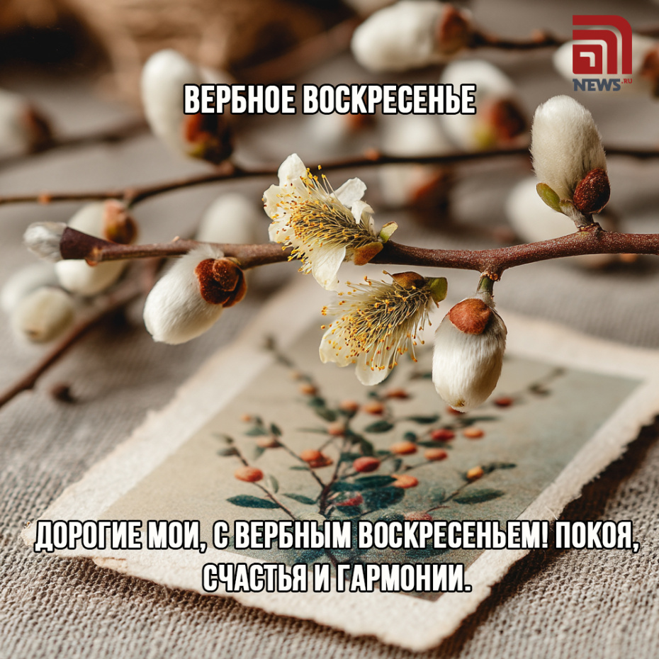 Набор картинок и открыток «С Вербным воскресеньем» на 2026 год