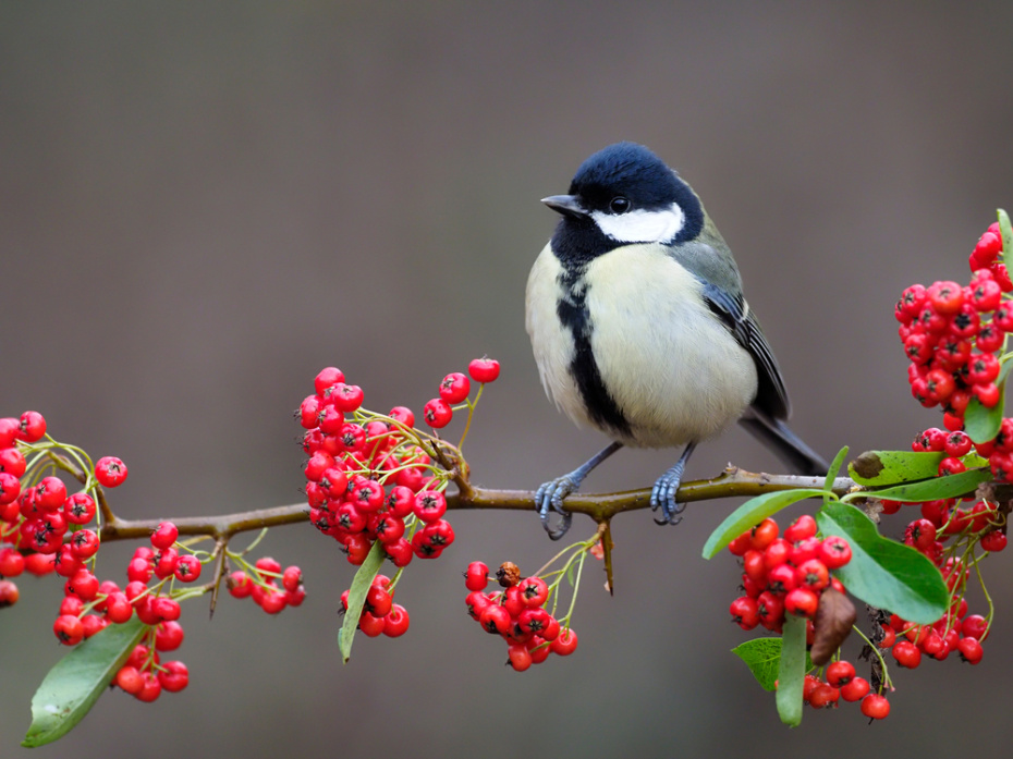 Погодные приметы на 2 апреля