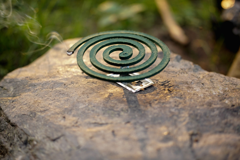 Как предотвратить появление комаров на участке