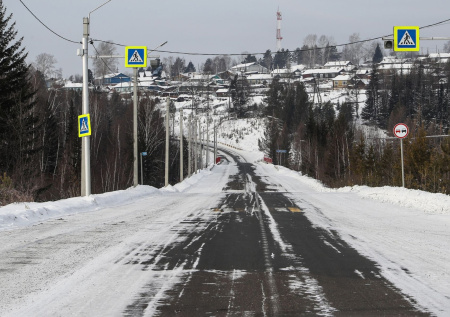 Почти полсотни трупов собак нашли на трассе под Екатеринбургом