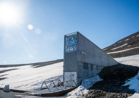 Посол Норвегии ответила, перенесут ли Всемирное хранилище семян