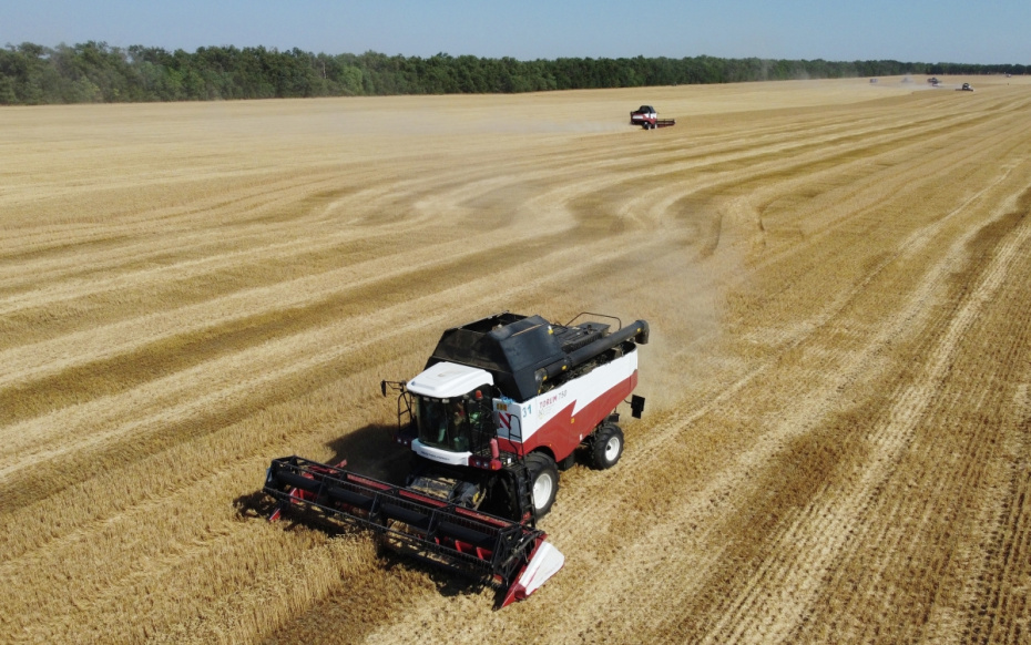 Комбайны собирают урожай пшеницы