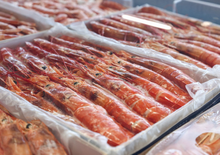 «Это много»: стало известно, сколько москвичи съедают креветок в сутки