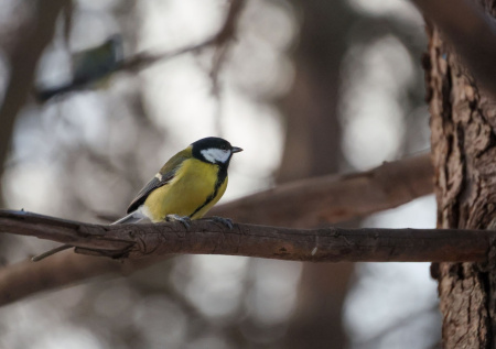 Приметы 3 апреля — Никита Водопол: как задобрить водяного и не утонуть