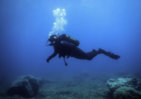 В Подмосковье для ветеранов СВО с инвалидностью провели занятие по дайвингу
