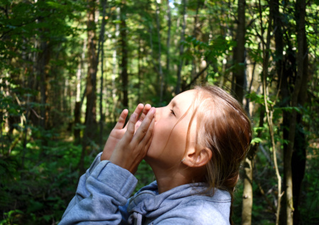 Психолог рассказал, как действовать заблудившемуся в лесу человеку