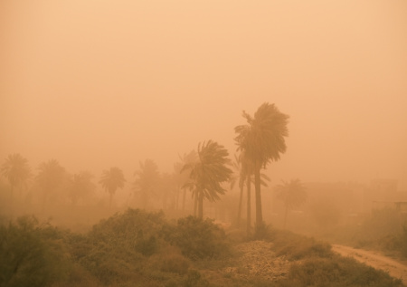 Синоптик ответил, угрожает ли России пыльная буря из Африки