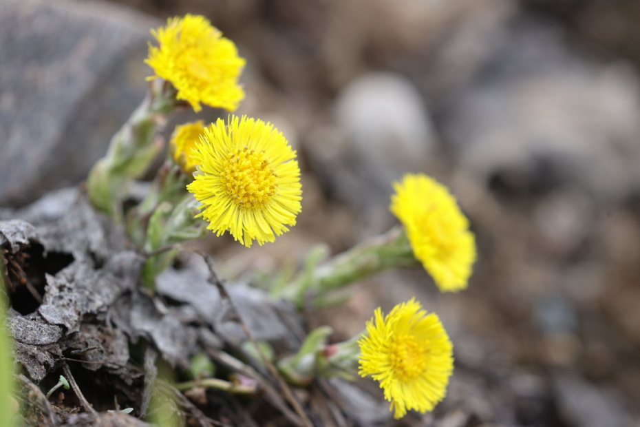 Что можно и нужно делать 3 апреля?