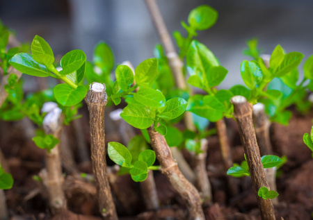 В Британии собрали 540 литров мочи с фестиваля ради необычного проекта