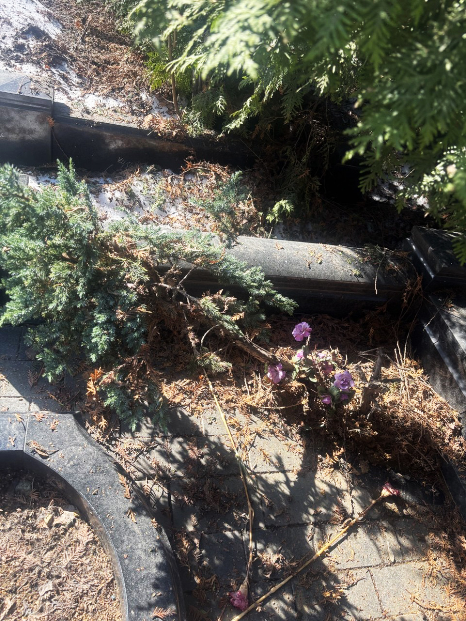 Могила родителей Аллы Пугачевой