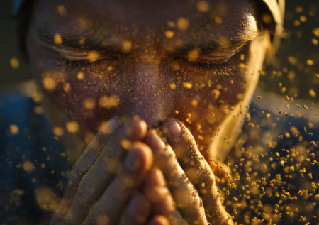 Сезон березы затянется надолго: пыльца в Москве — прогноз на 6 апреля