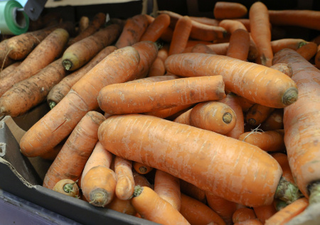 Названа важная часть овощей, которую многие ошибочно выбрасывают