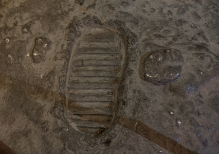 Россияне рассказали, верят ли в высадку американцев на Луну