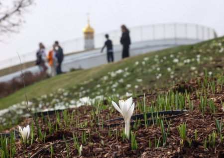 Плюс-минус 20: от аномальной жары до метелей — погода в России 6–12 апреля