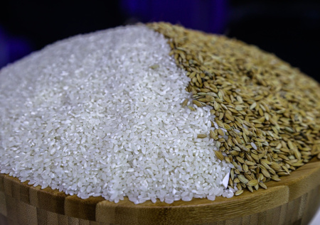 В Чечне раскрыли масштаб потерь сельского хозяйства региона от затопления