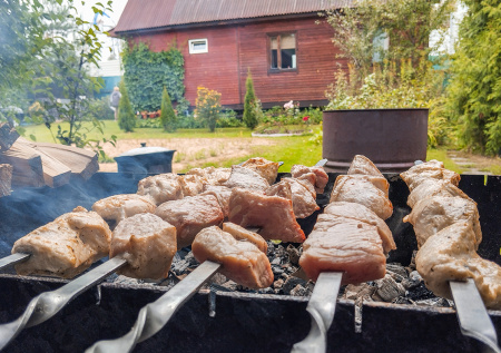 Дачникам пригрозили наказанием за неправильный «шашлычный» отдых