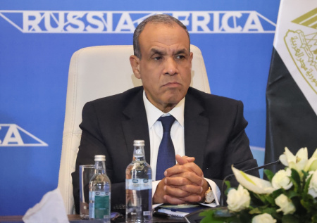 Глава МИД Египта высказался о российской позиции по Украине