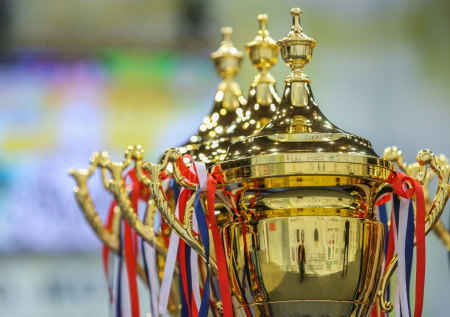 Отец из Люберец рассказал о наградах детей-рекордсменов