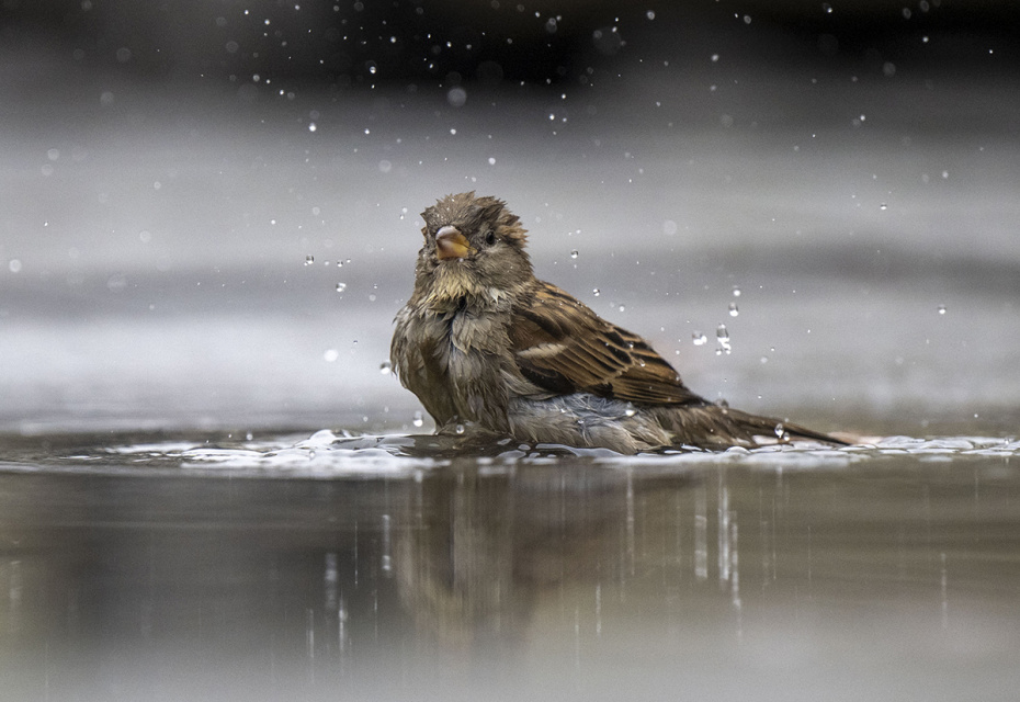 Какой сегодня день? Праздники и памятные даты 4 апреля 2026 года