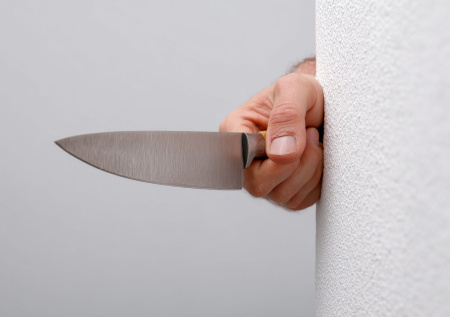 Раскрыта деталь нападения подростка на детей в Тюменской области