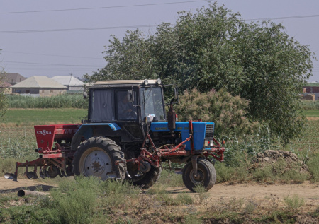 Востоковед оценила вероятность голода из-за нехватки удобрений