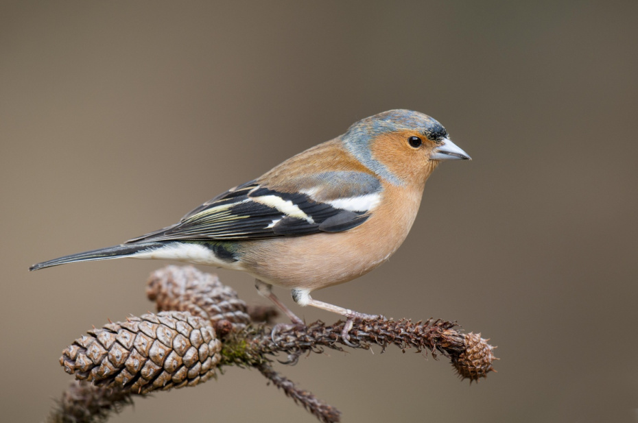 Приметы 5 апреля