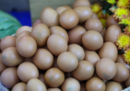 Россиянам дали безопасную инструкцию по мытью яиц