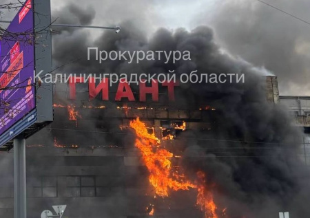 Эвакуация посетителей с ревущими детьми в Калининграде попала на видео