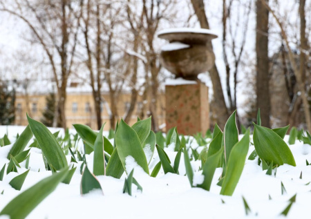 Конец теплу и весне: на Москву надвигаются метель и ледяной дождь, прогноз