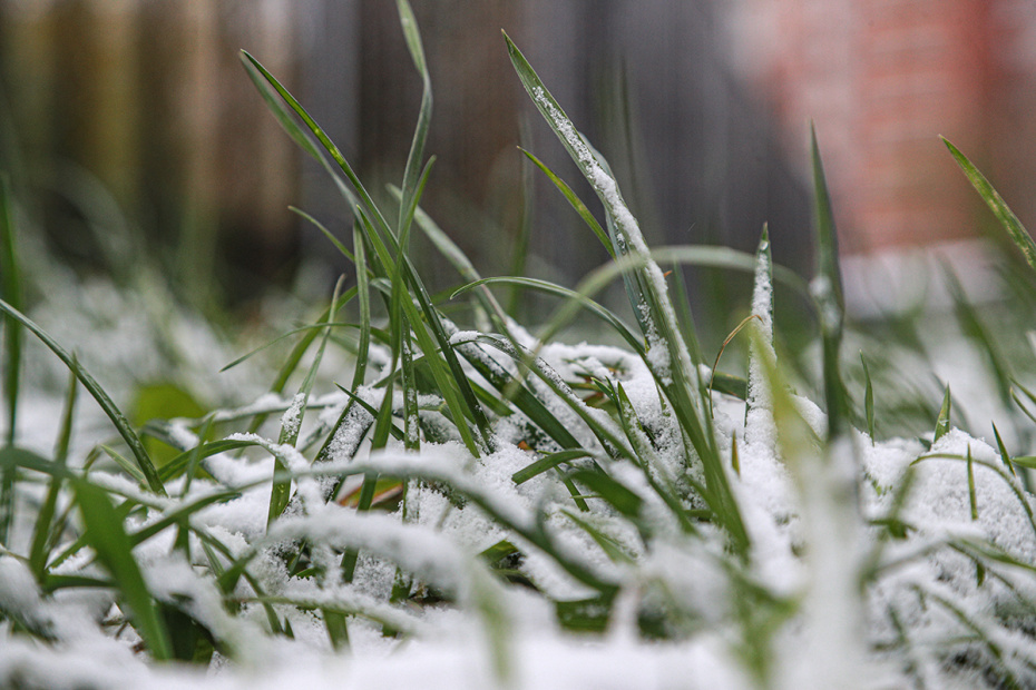 Приметы 6 апреля