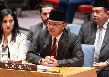 Индонезия обратилась к ООН после гибели своих военнослужащих