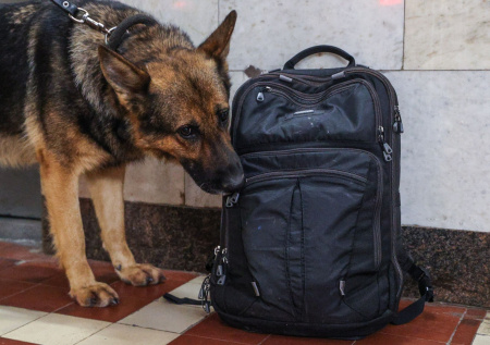 «Черные рюкзаки»: в Сербии раскрыли детали о взрывчатке у газопровода