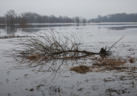 Появились кадры прорыва дамбы в Дагестане