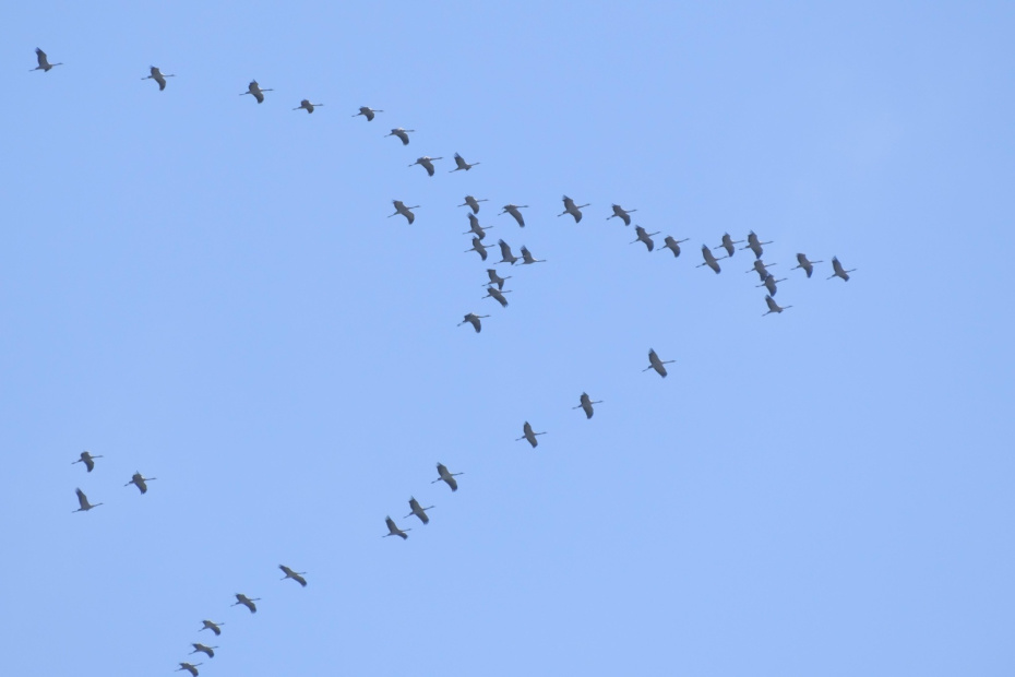 Погода на Благовещение: приметы