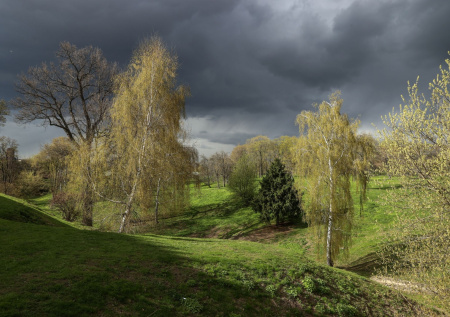 Более 120 ученых обратились к Путину из-за закона о заповедниках