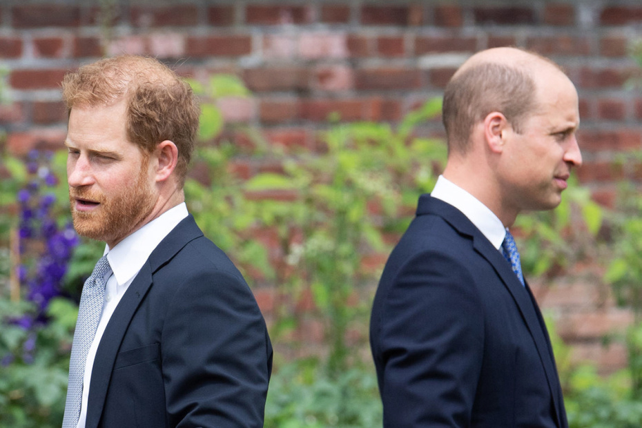 Принц Гарри и принц Уильям
