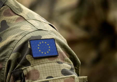 Стало известно, зачем на самом деле нужны боевые группы ЕС