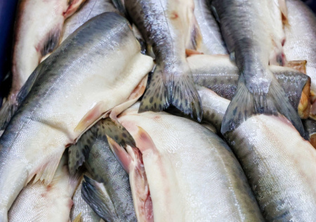 Названа самая подешевевшая рыба в России