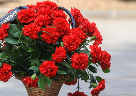 Российский генерал погиб при трагическом крушении Ан-26 в Крыму