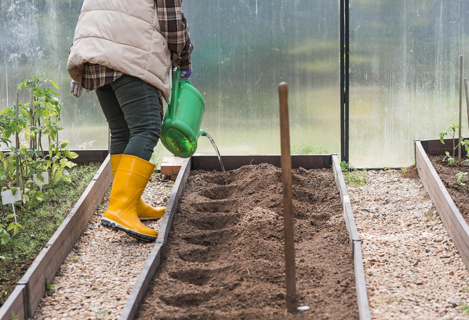 Благоприятные дни для посадок в апреле 2026 года — подробно по датам и регионам