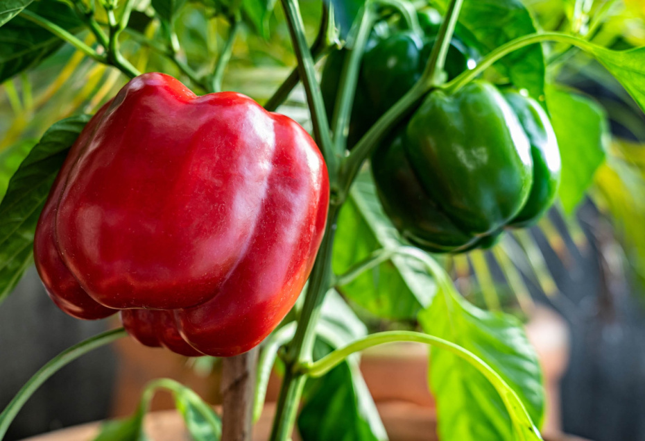 Луна, земля и немного магии — но строго по науке