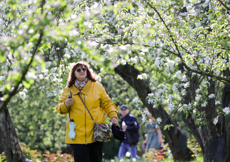 Раскрыто количество нерабочих дней в мае на фоне праздников
